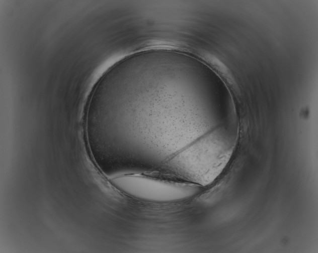 X0000091531427200708241701