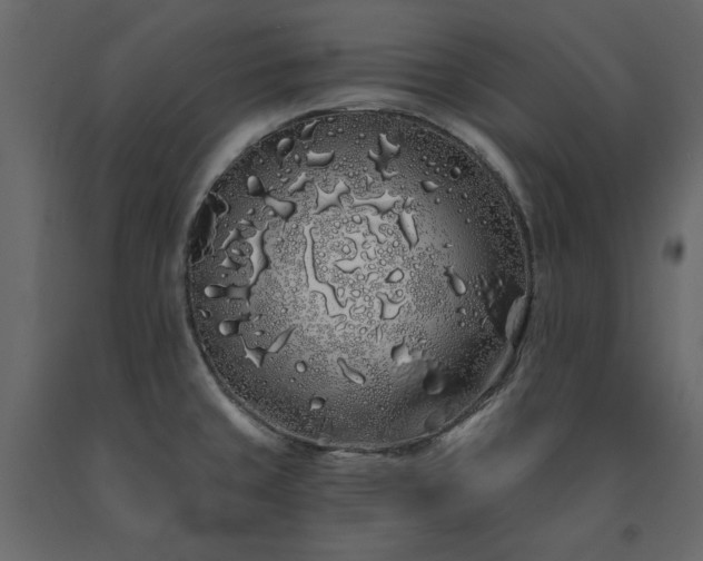 X0000091531429200708241701