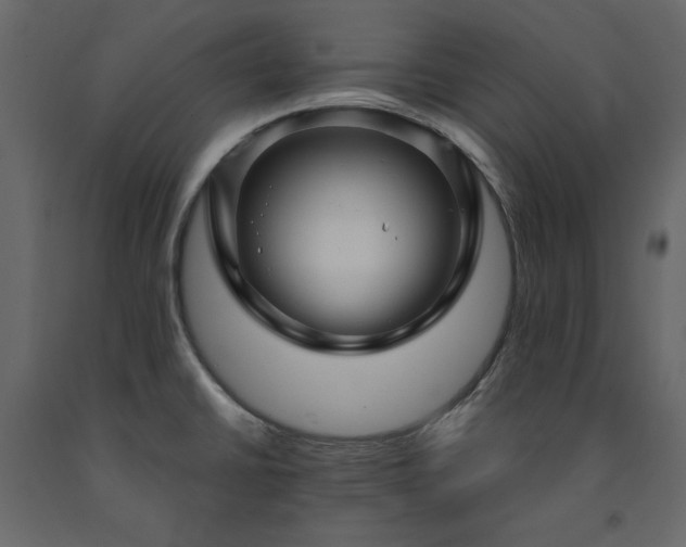 X0000091531430200708241701
