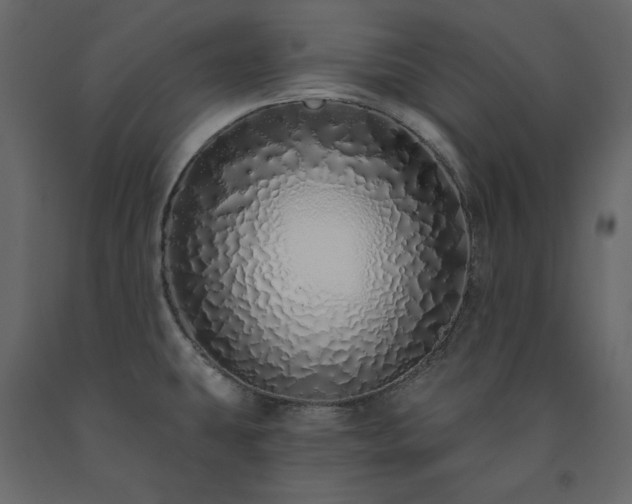 X0000091531431200708241701