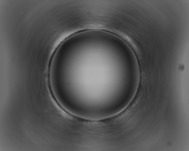 X0000091531432200708241701