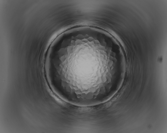 X0000091531437200708241702