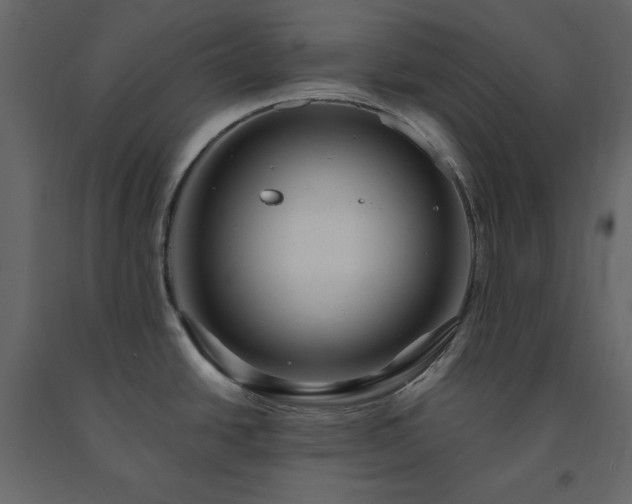 X0000091531438200708241702