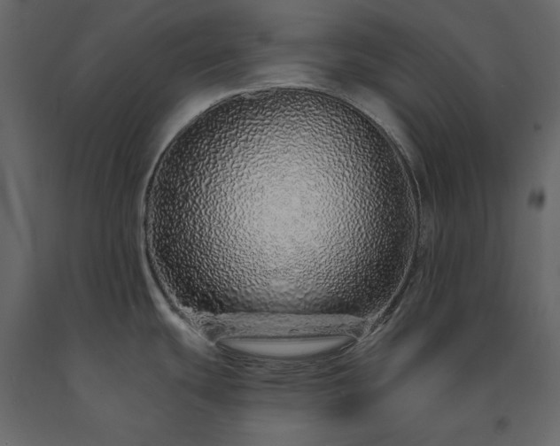 X0000091531439200708241702