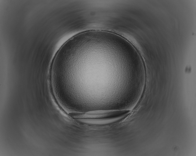X0000091531440200708241702