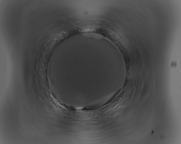 X0000091531441200708241701