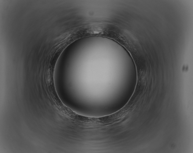 X0000091531442200708241701