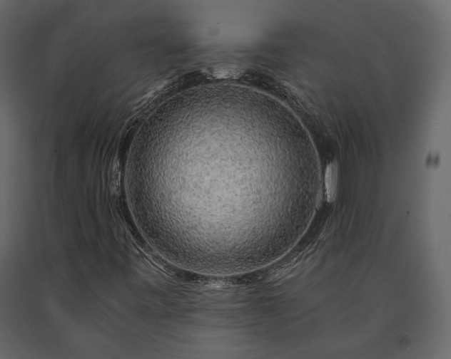 X0000091531443200708241701