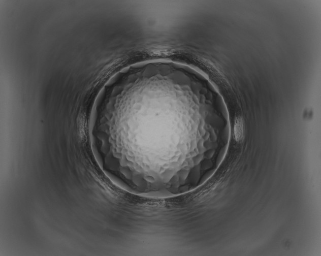 X0000091531444200708241701