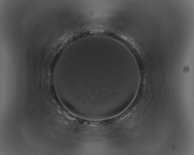 X0000091531445200708241701