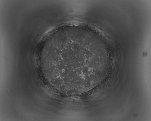X0000091531446200708241701