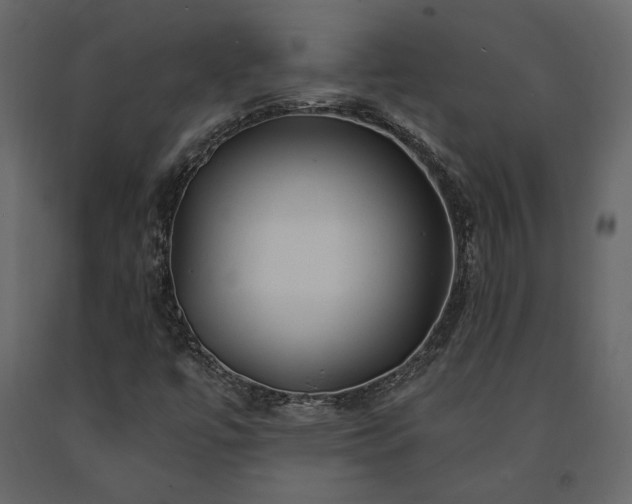 X0000091531447200708241701