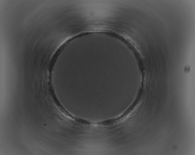 X0000091531449200708241701