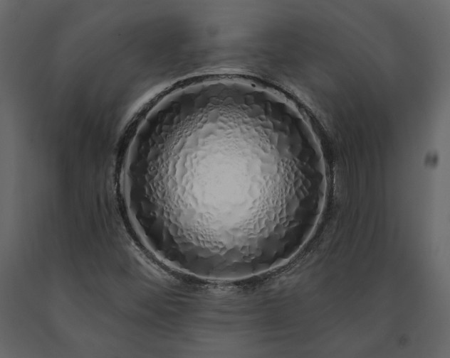 X0000091531452200708241701