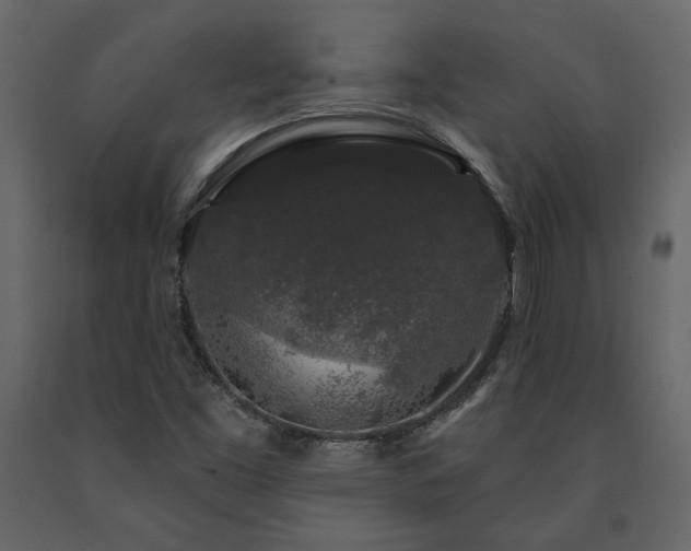 X0000091531453200708241701