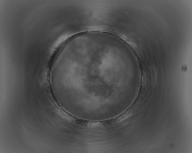 X0000091531454200708241701