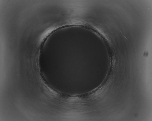 X0000091531455200708241701