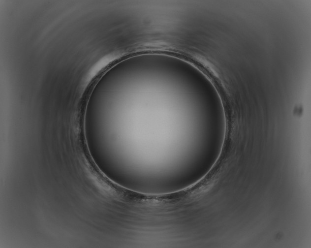 X0000091531458200708241701