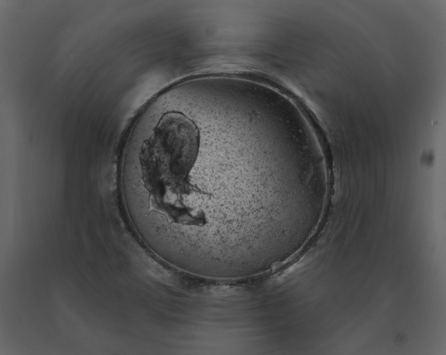 X0000091531459200708241701