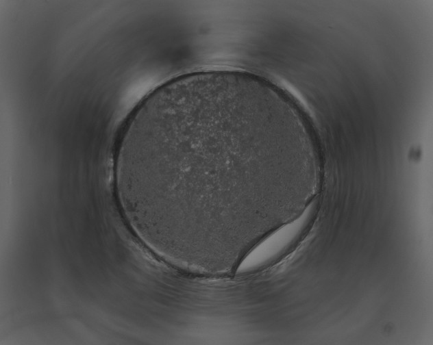 X0000091531461200708241701