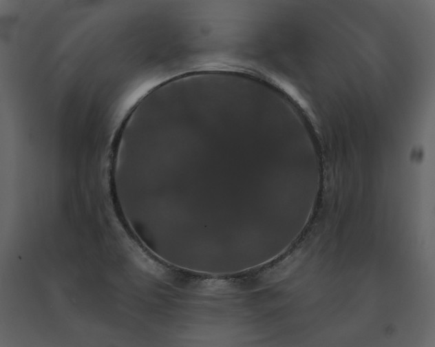 X0000091531463200708241701