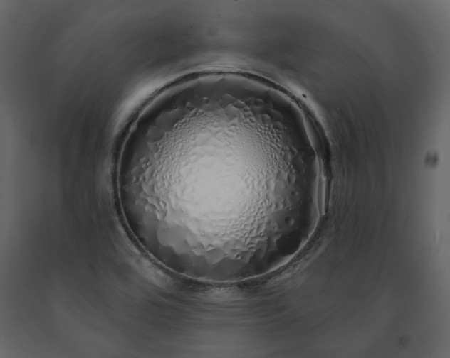 X0000091531464200708241701