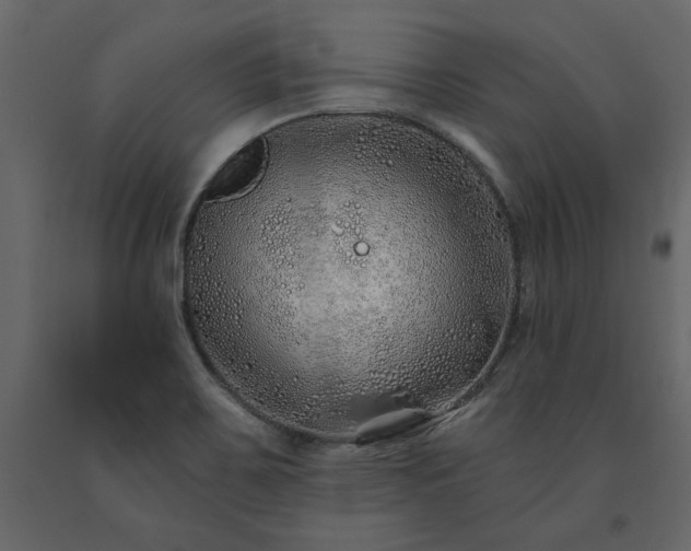 X0000091531467200708241700