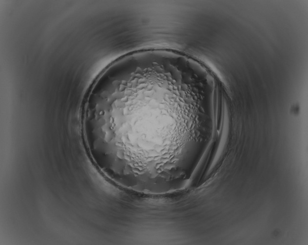 X0000091531468200708241700
