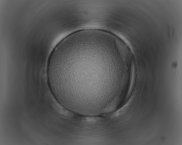 X0000091531469200708241700