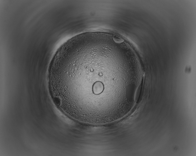 X0000091531471200708241700