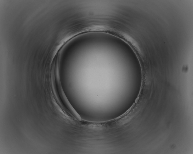 X0000091531473200708241700