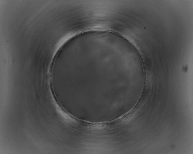 X0000091531474200708241700