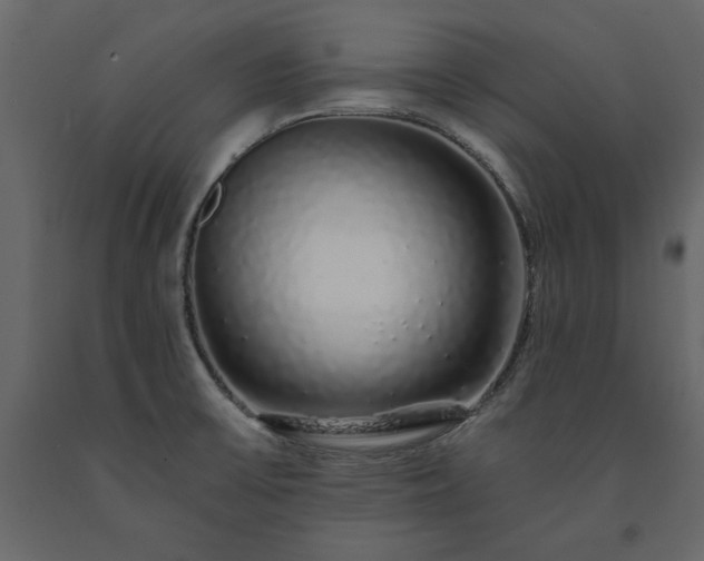 X0000091531475200708241700