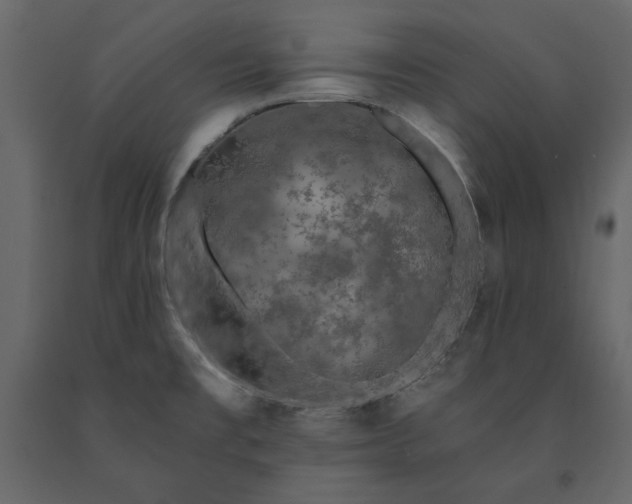 X0000091531477200708241700