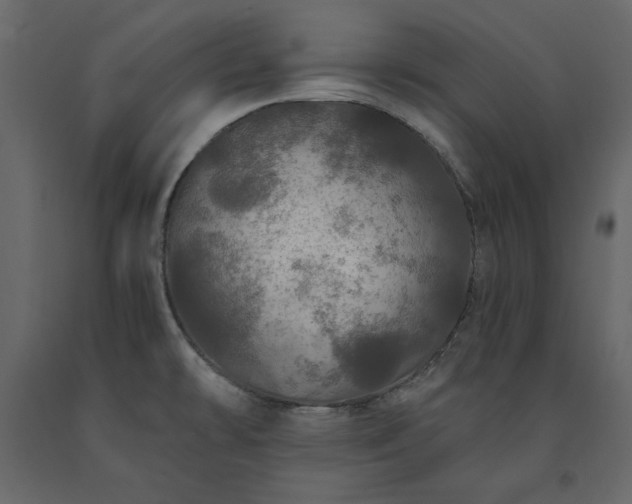 X0000091531478200708241700