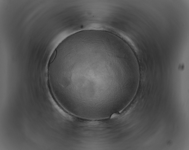 X0000091531479200708241700