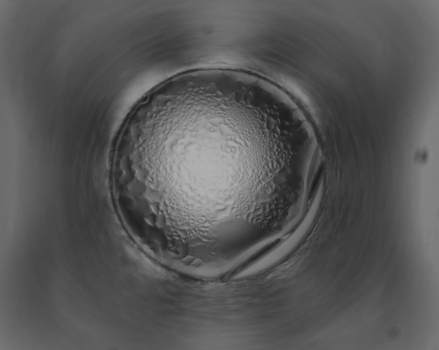 X0000091531480200708241700