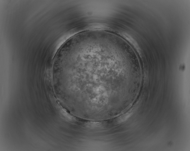 X0000091531481200708241700
