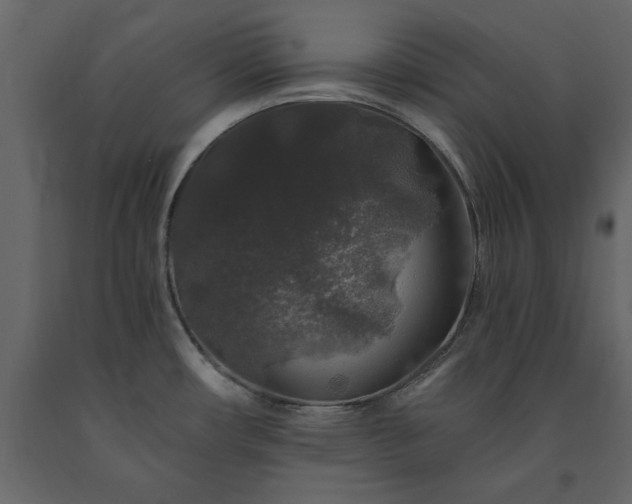 X0000091531482200708241700