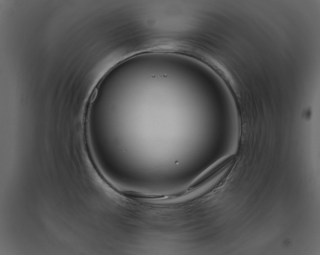 X0000091531483200708241700