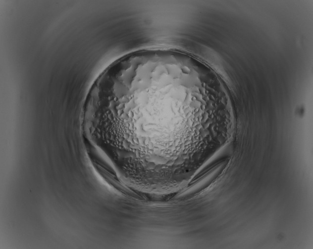 X0000091531484200708241700