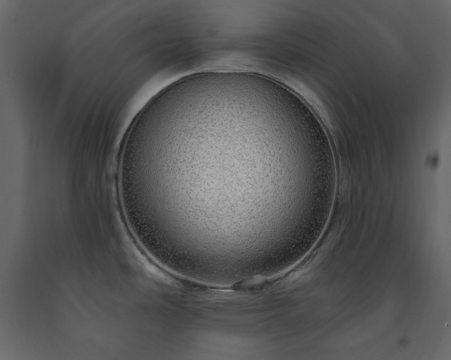 X0000091531486200708241700