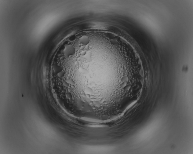 X0000091531487200708241700