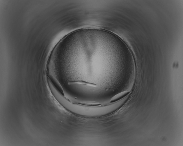 X0000091531488200708241700