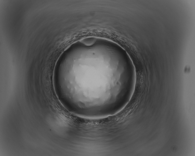 X0000091531489200708241700