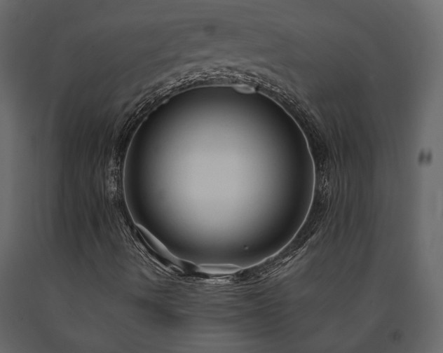 X0000091531490200708241700