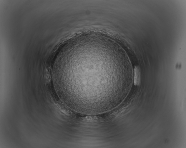 X0000091531491200708241700