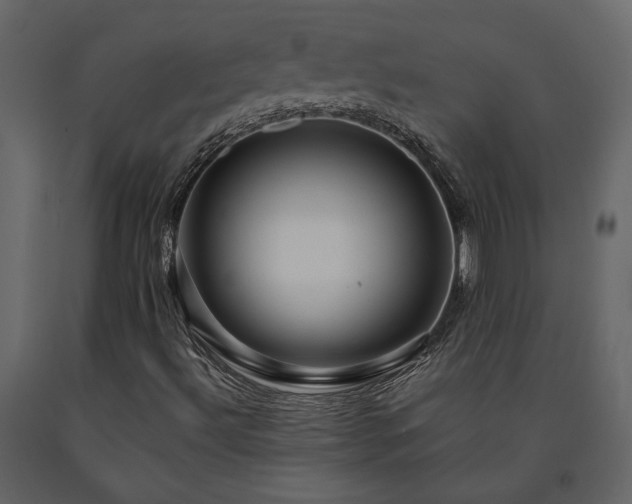 X0000091531492200708241700