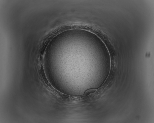 X0000091531493200708241700