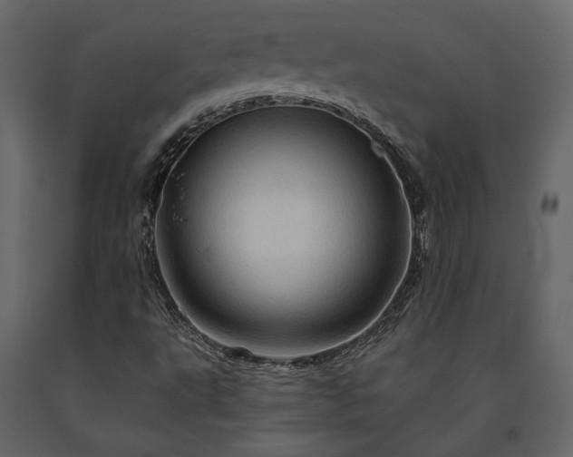 X0000091531495200708241700